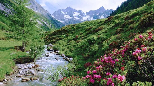 Manali, Himachal Pradesh